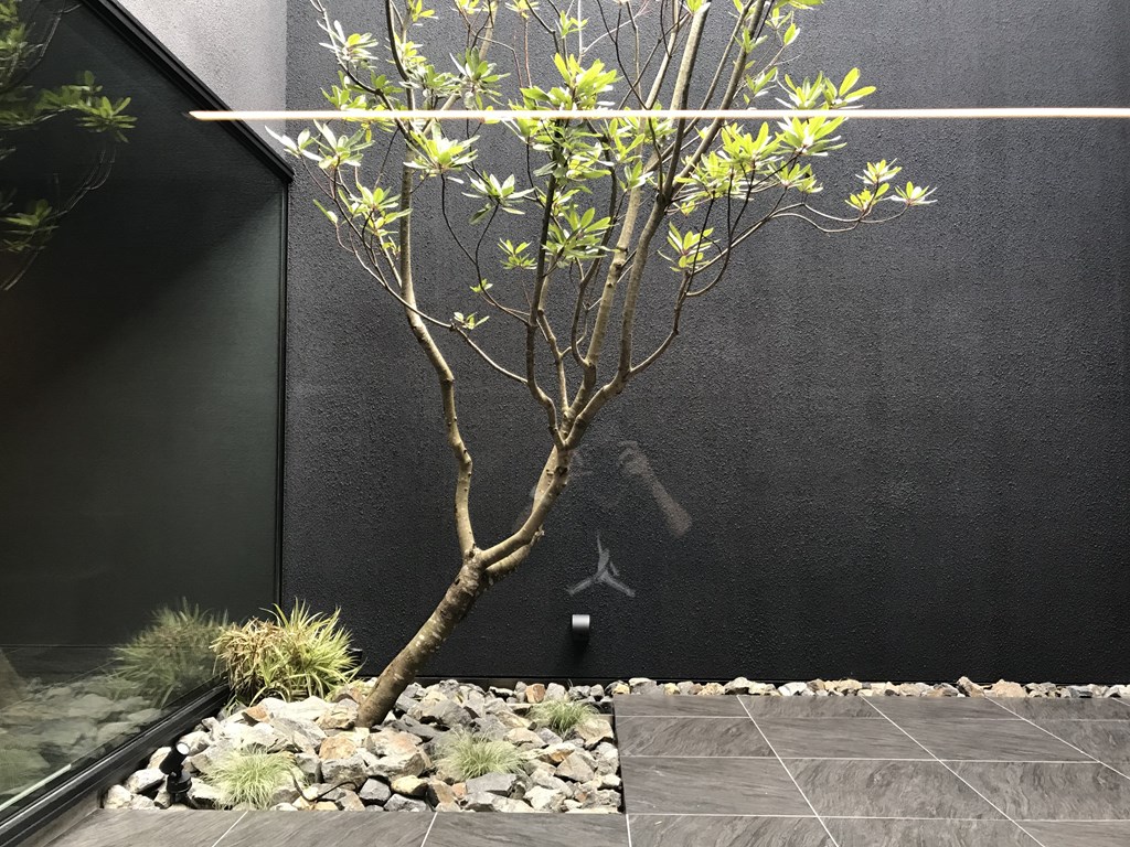 大阪府八尾市のコートハウス　中庭の写真