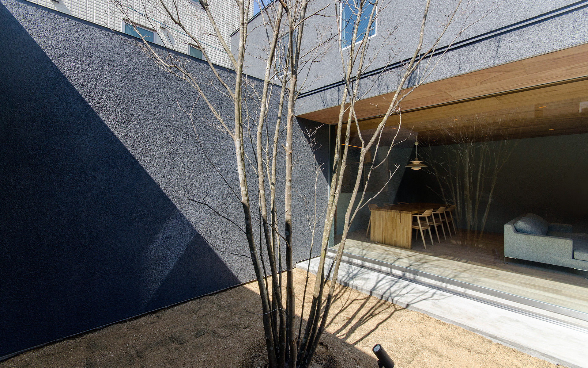 大阪市内に建つ中庭を持つコートハウス。中庭に植えられたヤマボウシ