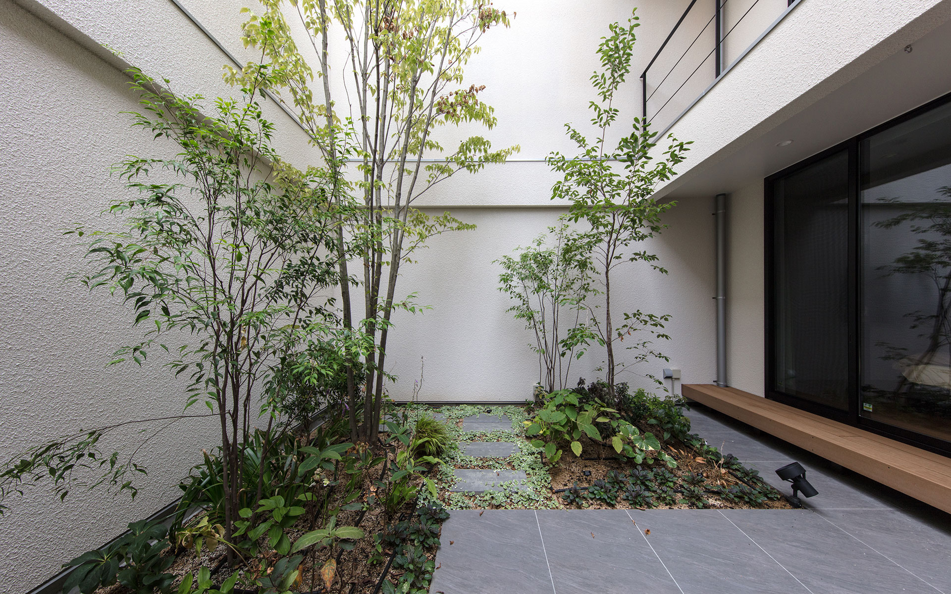 宝塚市に建つ中庭のある家、中庭の写真